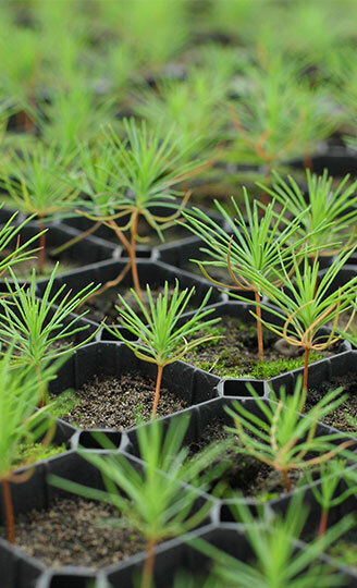 Группа «Илим»